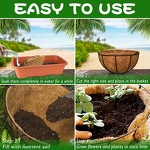 Metal Hanging Basket Supplier - Diameter 10'' Iron Garden Ornaments Hanging