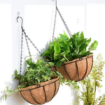 Hanging Basket Supplier - New Product Ideas Best Sale for Plants Dia 10''