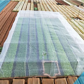 Insect Proof Mesh Manufacturer - M10 Aphid Net for Agricultural Gardens Greenhouses