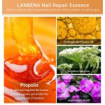 Nail Repair Serum Factory - OEM Fungal Nail Treatment