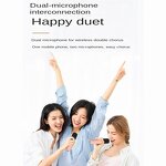 Karaoke Microphone Manufacturer - OEM KK-02 Handheld Music Wireless BT 5.0 Mini