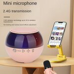 Karaoke Microphone Manufacturer - OEM KK-02 Handheld Music Wireless BT 5.0 Mini