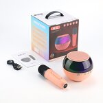 Karaoke Microphone Manufacturer - OEM KK-02 Handheld Music Wireless BT 5.0 Mini