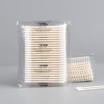 Disposable Cotton Buds Supplier - OEM/ODM CA-002 Double Head Dust-Free Paper Stick