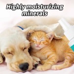 Pet Deodorant Spray Manufacturer - OEM Eco-Friendly Carpet Cleaner