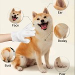 Pet Grooming Wipes Factory - OEM Eco-Friendly Disposable Gloves