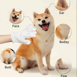 Pet Grooming Wipes Factory - OEM Eco-Friendly Disposable Gloves