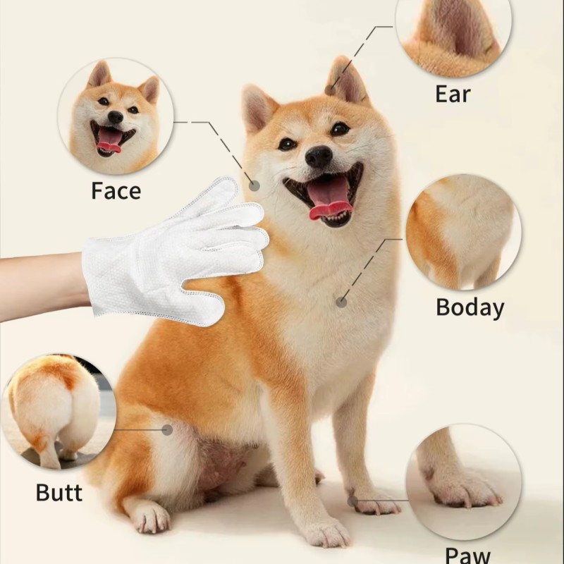 Pet Grooming Wipes Factory - OEM Eco-Friendly Disposable Gloves