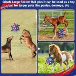 Dog Chew Toy Manufacturer - OEM Indestructible Ball Toy