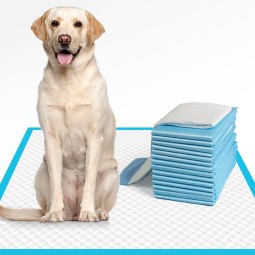 Puppy Training Pad Manufacturer - OEM Super Absorbent Pads