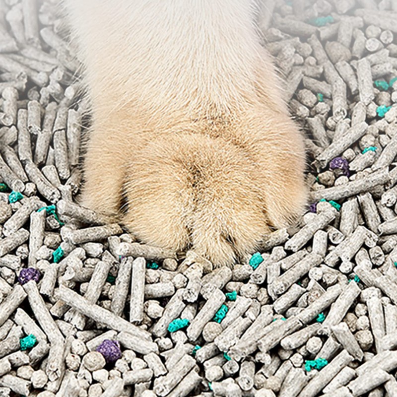 Tofu Cat Litter Manufacturer - OEM Strong Clumping Granular
