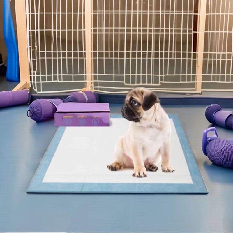 Doggy Pee Pad Manufacturer - OEM Disposable Absorbent Pad
