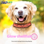 Dog Pet Collar Factory - OEM Rechargeable LED Light Collar