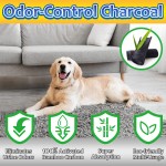 Puppy Wee Pad Factory - OEM Super Absorbent Leak Proof