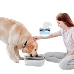 Slow Water Feeder Manufacturer - OEM 2L Spill Proof Bowl