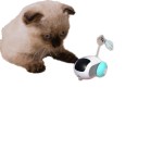 Pet Interactive Toy Factory - OEM Remote Controlled Toys