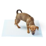 Pet Pee Pad Factory - OEM Leak Proof Bamboo Plastic