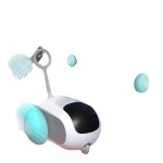 Pet Interactive Toy Factory - OEM Remote Controlled Toys