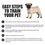 Puppy Pee Pad Manufacturer - OEM Factory Direct Pads