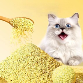 Corn Cat Litter Factory - OEM Dust Free Clumping Litter