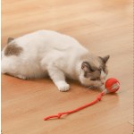 Pet Toy Ball Factory - OEM Durable Silicone Chew Toy