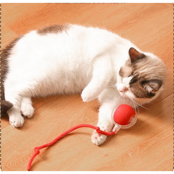 Silicone Cat Toy Manufacturer - OEM Electric Playing Balls