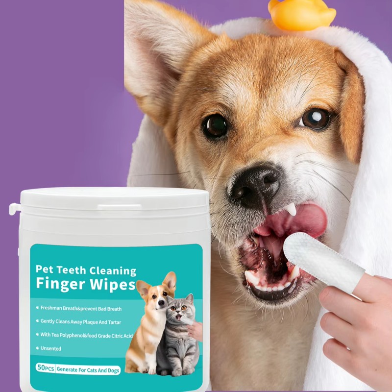 Pet Grooming Gloves Manufacturer - OEM Disposable Cleaning Wipes