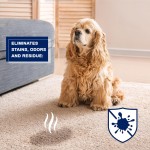 Pet Odor Eliminator Manufacturer - OEM Stain Remover Perfume Spray