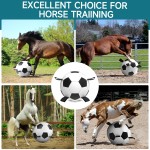 Interactive Ball Factory - OEM Soccer Training Toy