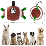 Pet Motion Toy Factory - OEM PU Nylon Rugby Ball