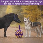 Dog Chew Toy Manufacturer - OEM Customizable Logo Ball