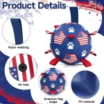 Dog Chew Toy Manufacturer - OEM Indestructible Ball Toy