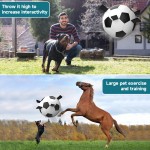 Interactive Ball Factory - OEM Soccer Training Toy