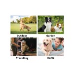 Pet Grooming Wipes Factory - OEM Eco-Friendly Disposable Gloves