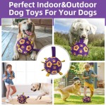 Dog Chew Toy Manufacturer - OEM Customizable Logo Ball