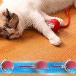 猫咀嚼玩具生产厂家 - 多色互动代工