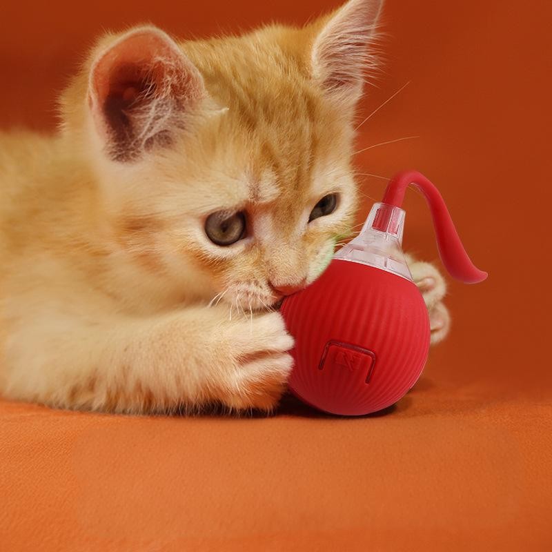 Cat Chew Toy Manufacturer - OEM Multi Color Interactive