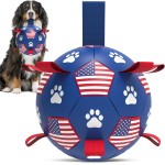 Dog Chew Toy Manufacturer - OEM Indestructible Ball Toy