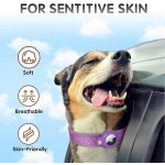 Pet Collar Set Manufacturer - OEM Multi Color Positioning