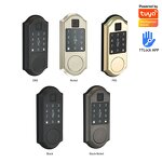 American Standard Smart Lock Supplier - Tuya TT LOCK Gold Color Built in