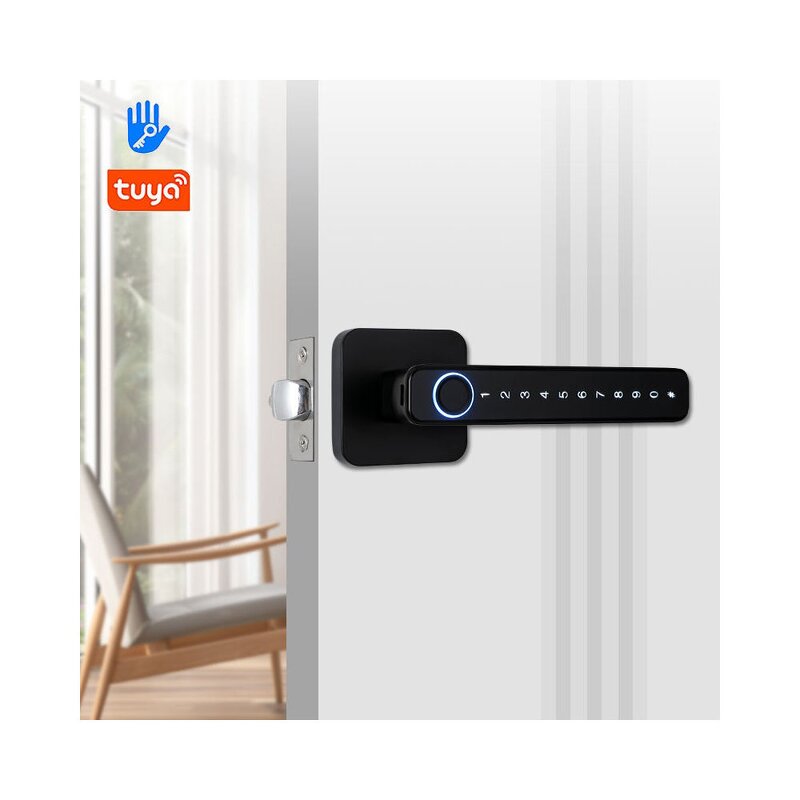 Smart Lever Handle Lock Factory - BBDHOME Intelligent Fingerprint Password Tuya