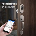 American Standard Smart Lock Supplier - Tuya TT LOCK Gold Color Built in