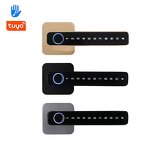 Smart Lever Handle Lock Factory - BBDHOME Intelligent Fingerprint Password Tuya