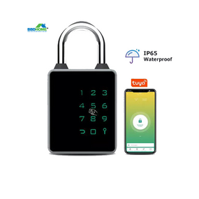 Smart Padlock Supplier - BBDHOME High Quality Keyless App Password Biometric