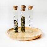 Glass Tube with Cork Supplier - Custom Size Logo Glass Test Tube