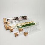 Plastic Test Tubes Supplier - Eco-friendly OEM ODM 125mm with Cork