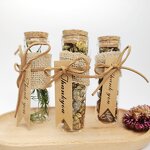 Mini Glass Bottles Factory - 10ml 15ml 20ml With Cork Wooden Stopper