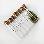 Glass Tube with Cork Supplier - Custom Size Logo Glass Test Tube