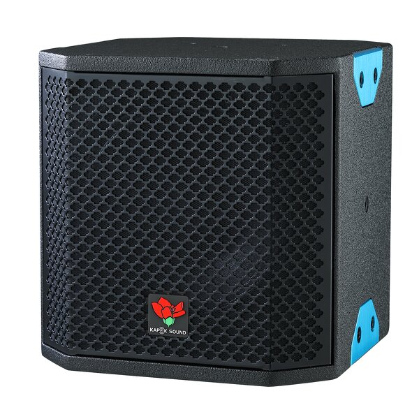 6.5" Coaxial Loudspeaker Manufacturer - QS Kapok CX-6F 180W Two-way