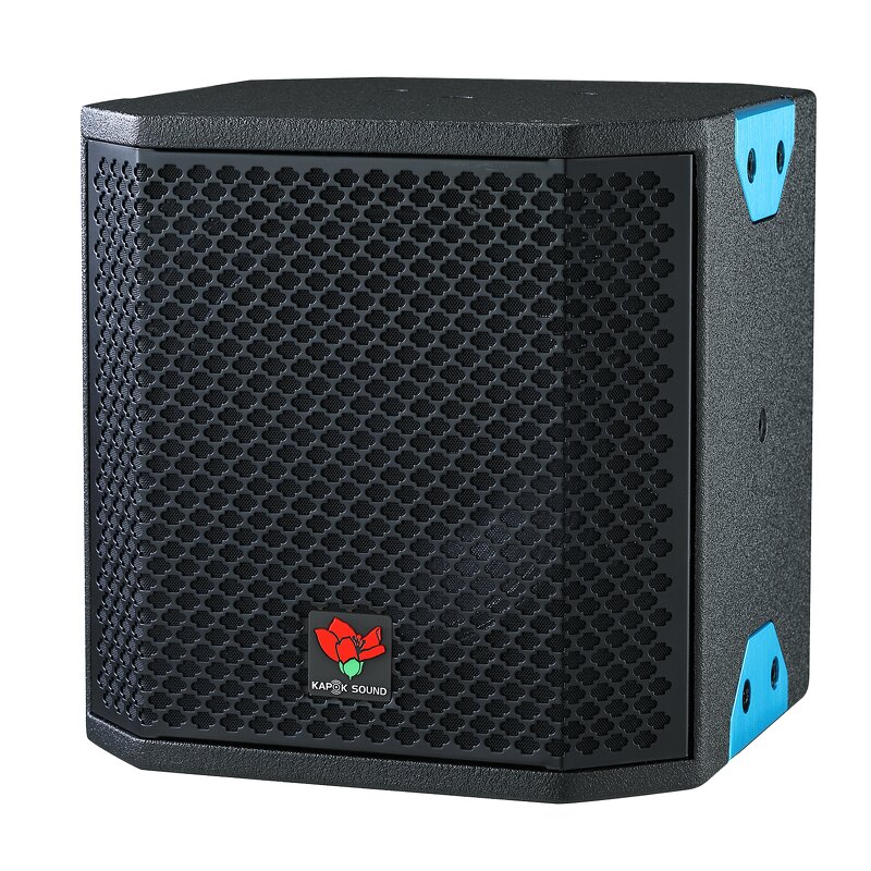 6.5" Coaxial Loudspeaker Manufacturer - QS Kapok CX-6F 180W Two-way